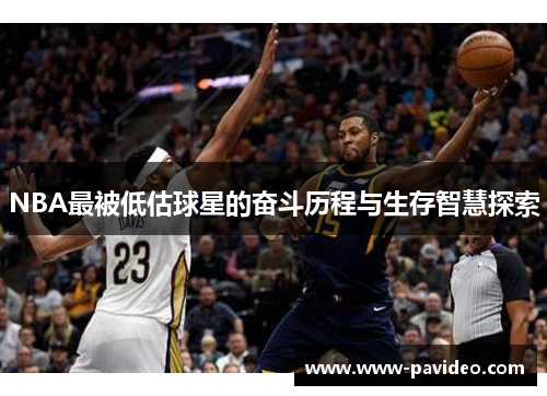 NBA最被低估球星的奋斗历程与生存智慧探索