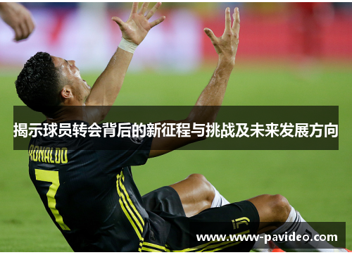 揭示球员转会背后的新征程与挑战及未来发展方向