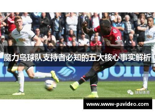 魔力鸟球队支持者必知的五大核心事实解析